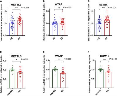 The potential role of RNA N6-methyladenosine in primary Sjögren’s syndrome